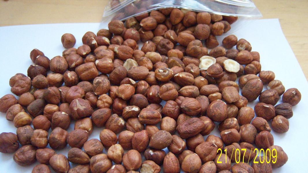 Haselnüsse