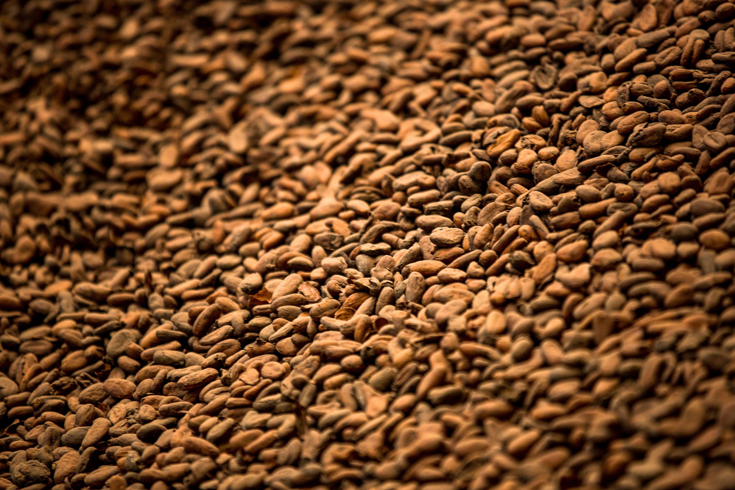 henningangerer_022396-scaled